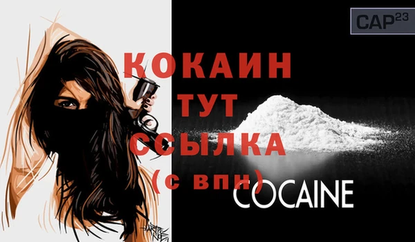 индика Елизово