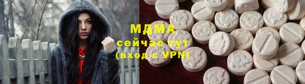 индика Елизово