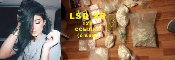 индика Елизово