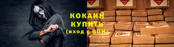 гидра Щигры