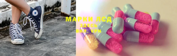 индика Елизово