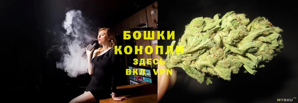 бутират Елабуга