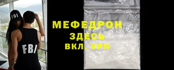 индика Елизово