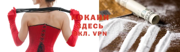 индика Елизово