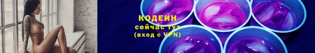 индика Елизово