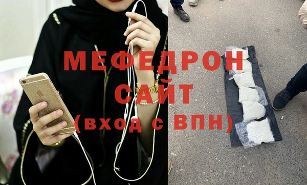 индика Елизово