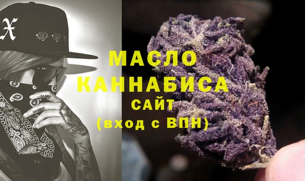 индика Елизово