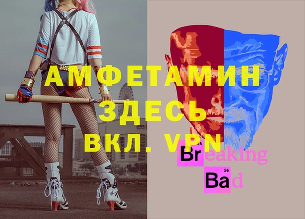 гидра Щигры