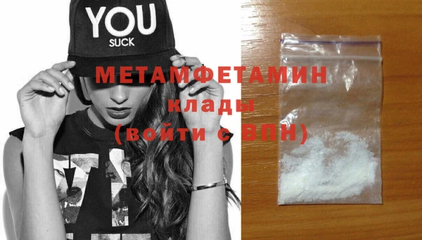 индика Елизово