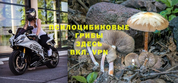 бутират Елабуга