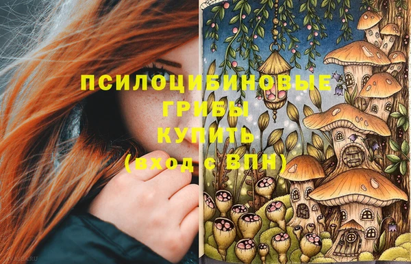 героин Ельня