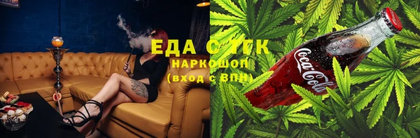 индика Елизово