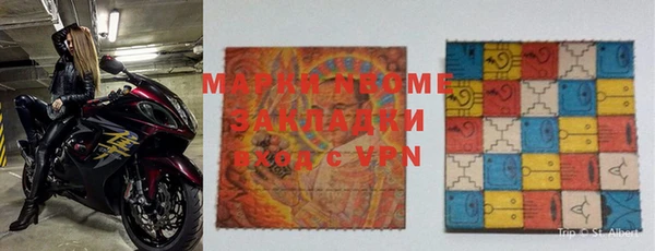 индика Елизово