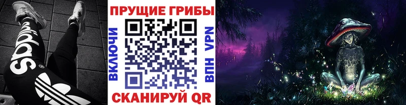 Галлюциногенные грибы Cubensis Вятские Поляны