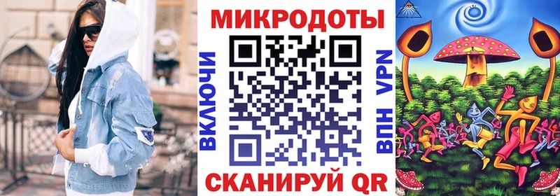 Псилоцибиновые грибы Psilocybe  Вятские Поляны 