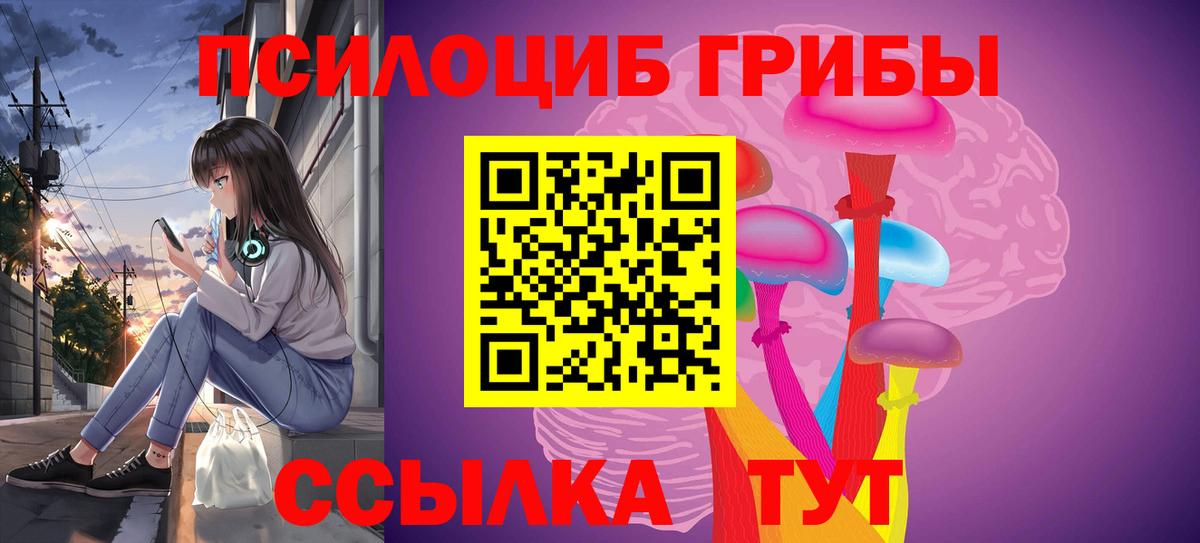 Галлюциногенные грибы Cubensis  Вятские Поляны  Псилоцибиновые грибы Cubensis 