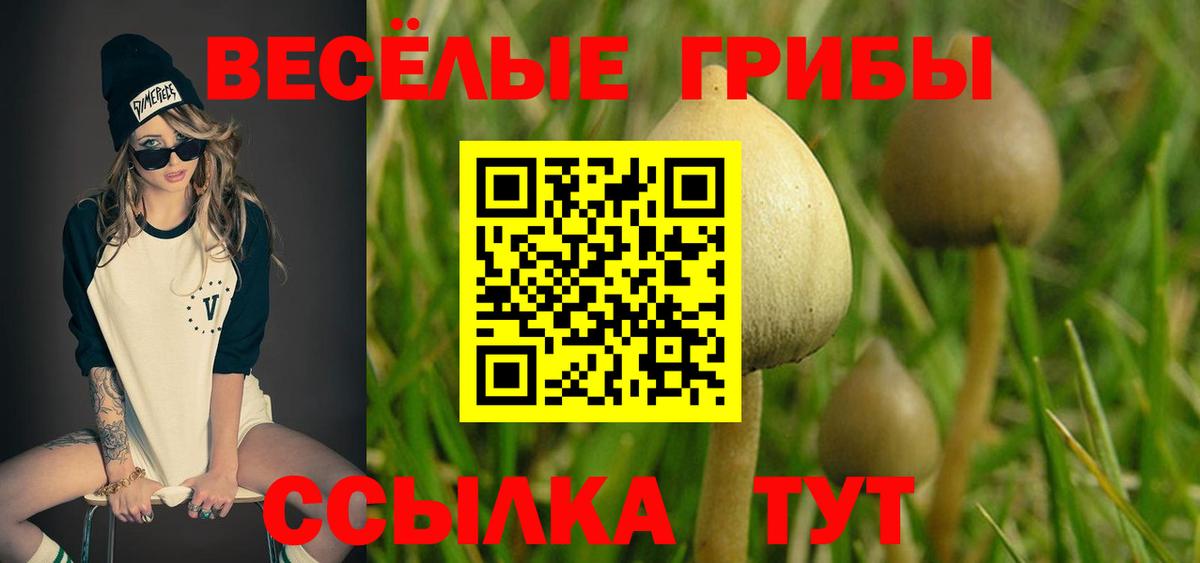 Галлюциногенные грибы прущие грибы Вятские Поляны