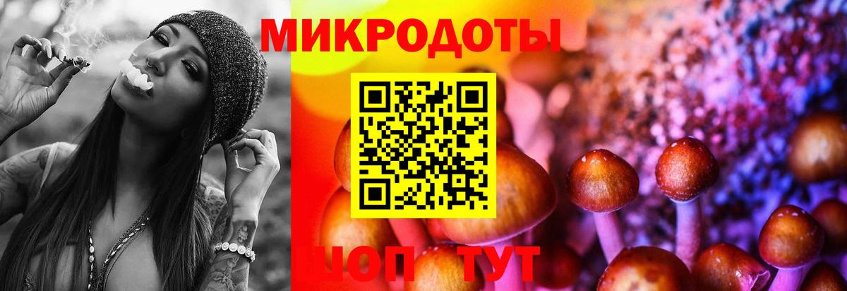 продажа наркотиков  Псилоцибиновые грибы Magic Shrooms  Псилоцибиновые грибы прущие грибы  Вход с VPN  Вятские Поляны 